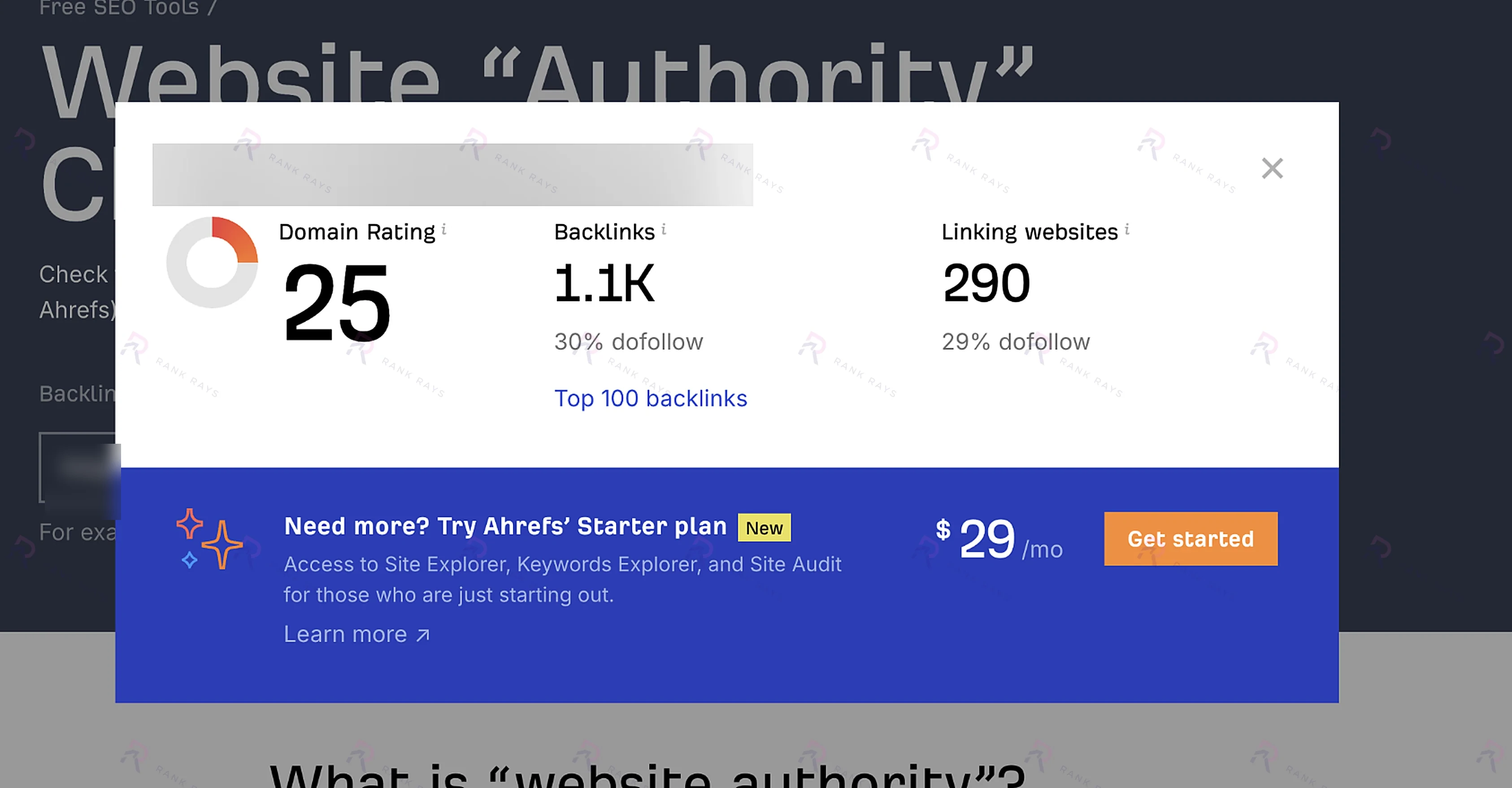 Ahrefs screenshot showing Domain Rating 25 before the authority campaign for a private client's Squarespace website in the relationship counseling niche — Rank Rays case study